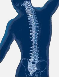 low cost endoscopic spine surgery India, benefits endoscopic spine surgery India
