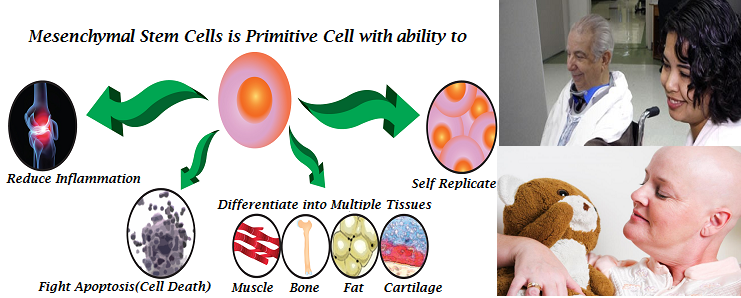 stemcell