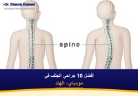 أفضل 10 جراحي الجنف في مومباي، الهند (2026-2027)