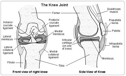 Knee Arthroscopy Surgery in India