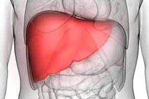Liver Cancer Surgery India