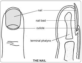Toe Nail Removal Surgery in India