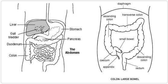 Hemi Colectomy Right Surgery in India