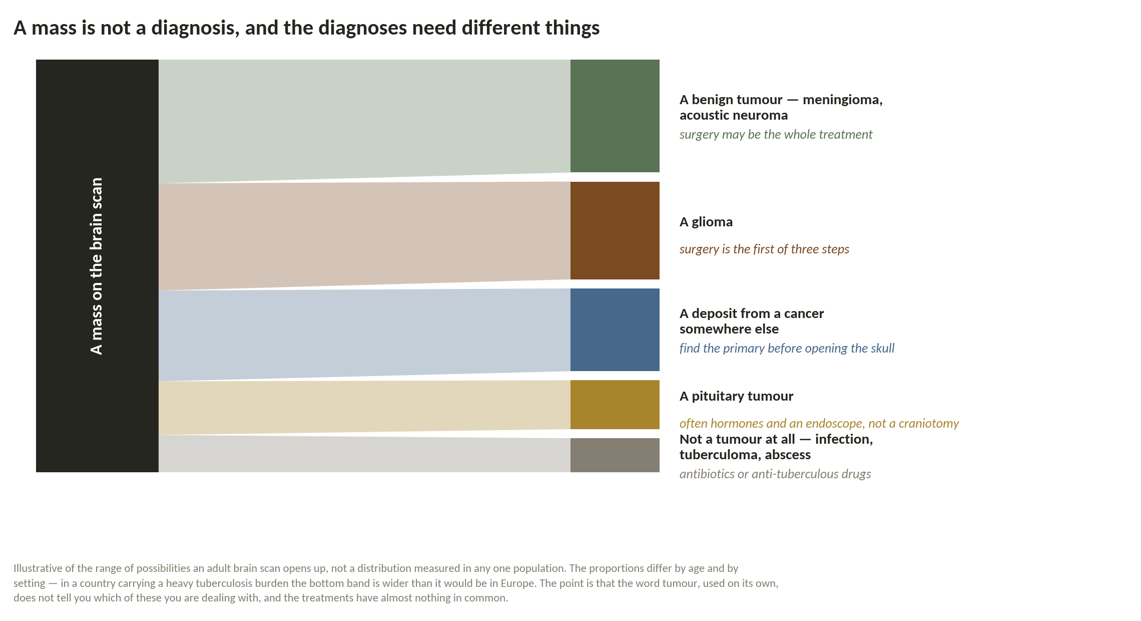 Chart: Which tumour is it?