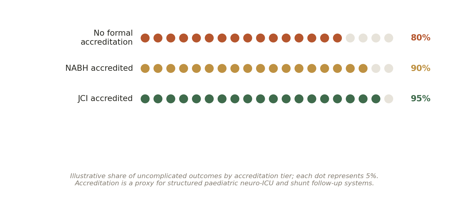Chart: 02 The Paediatric Neurosurgery Hospital in India: What Actually Matters