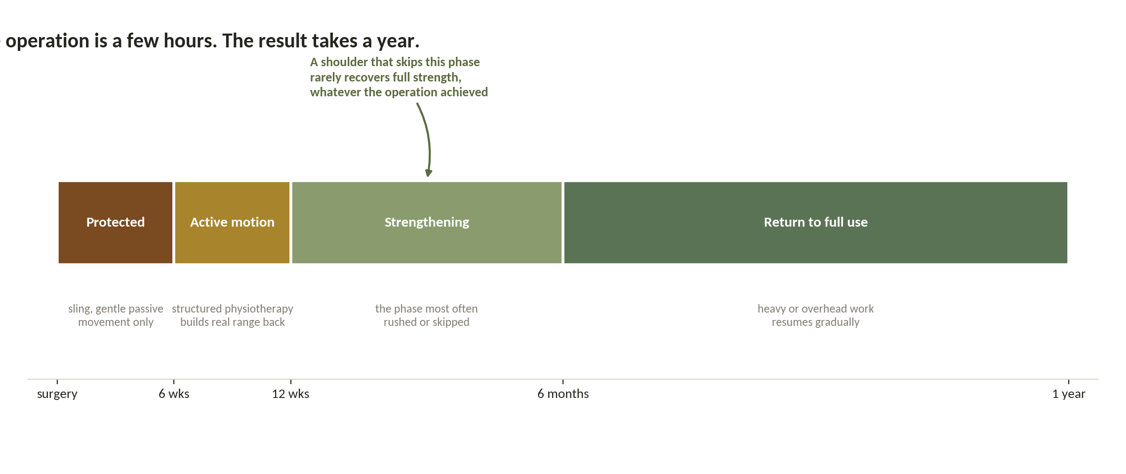 Chart: The operation is a few hours. The result takes a year.