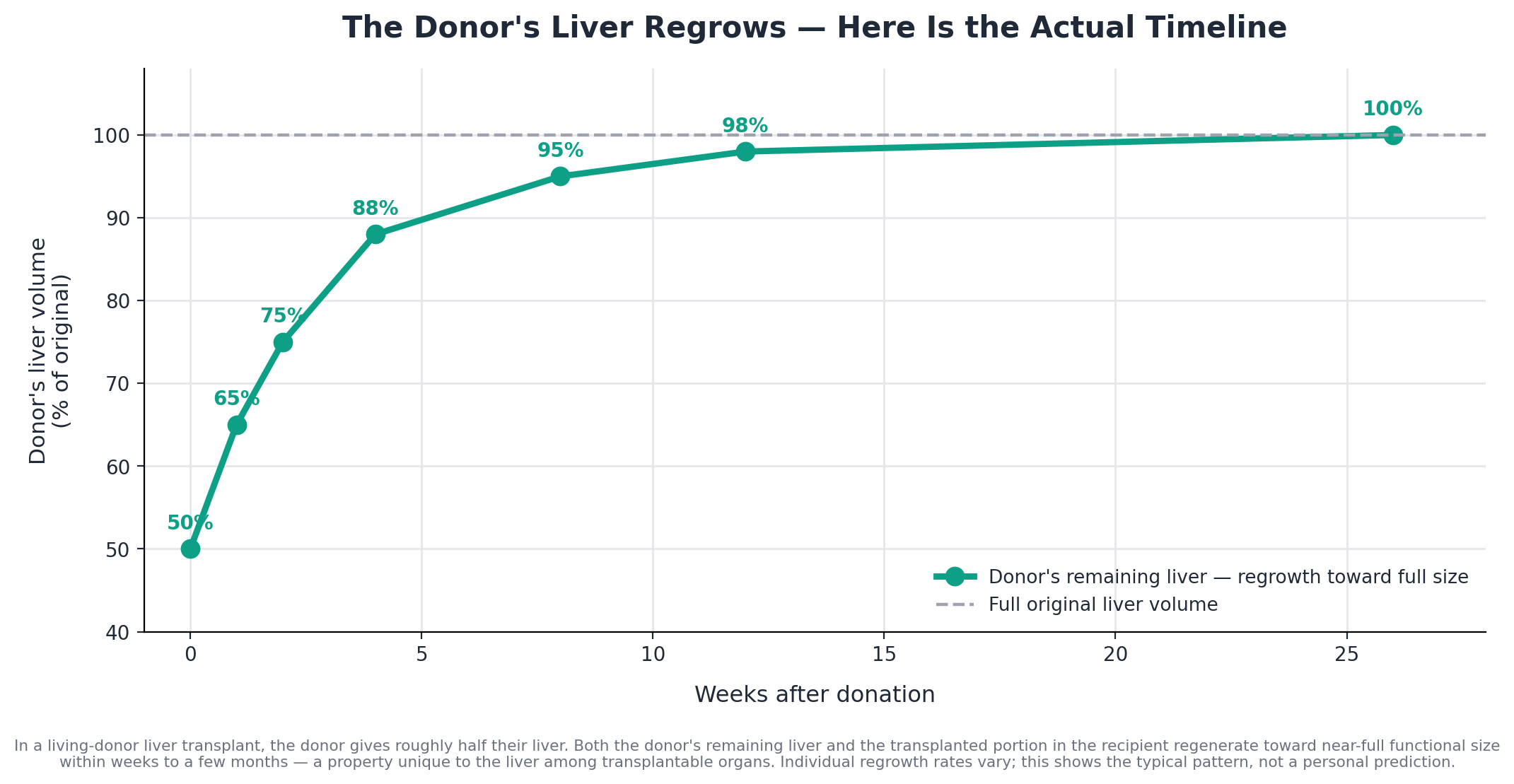 Chart: How the donor's liver actually recovers