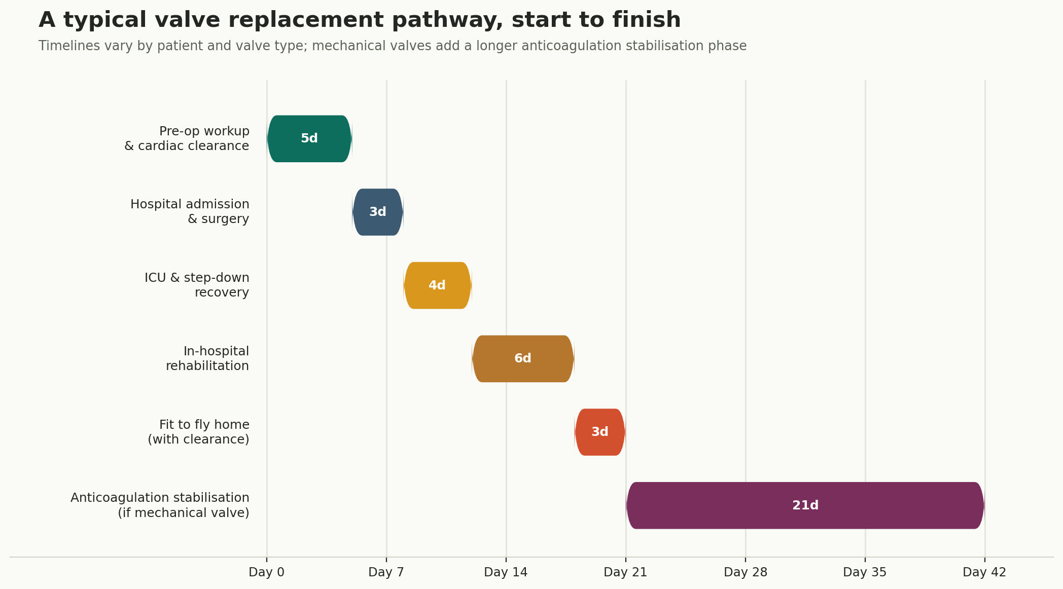 Chart: Visa, travel, and a recovery that does not end at discharge