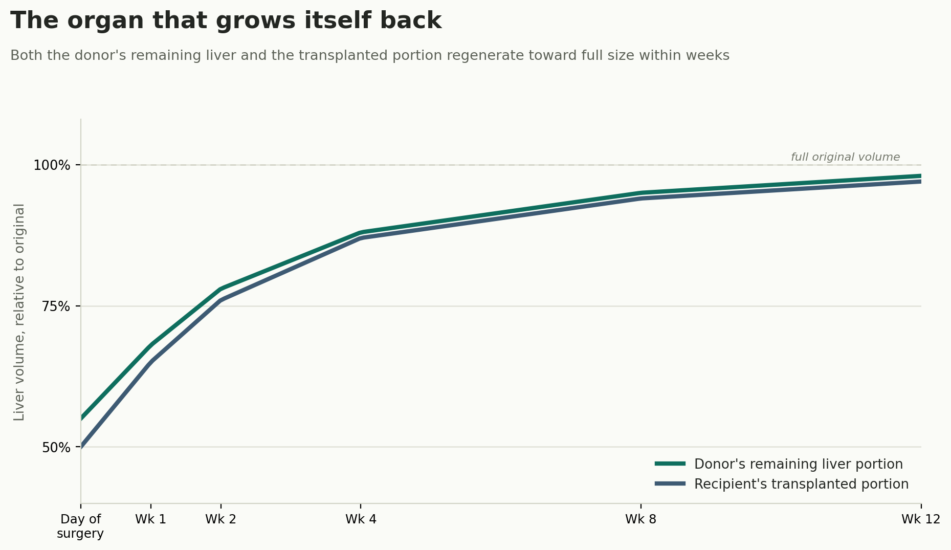 Chart: The organ that grows itself back