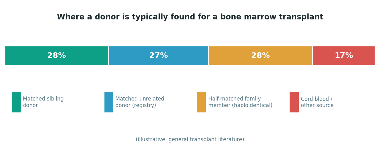 Chart: The Somali difference: the backup plan is far less reliable, which makes the sibling search matter more