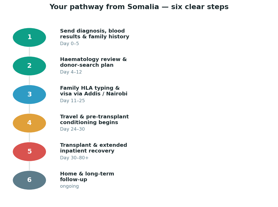 Chart: The practical journey from Somalia — plan it before you fly