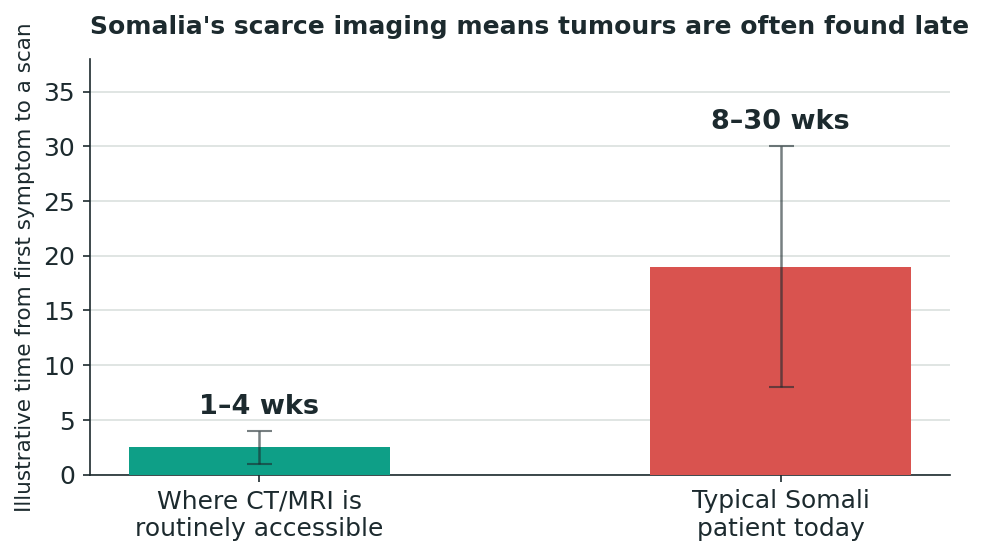 Chart: The Somali difference: rule out tuberculosis before assuming cancer