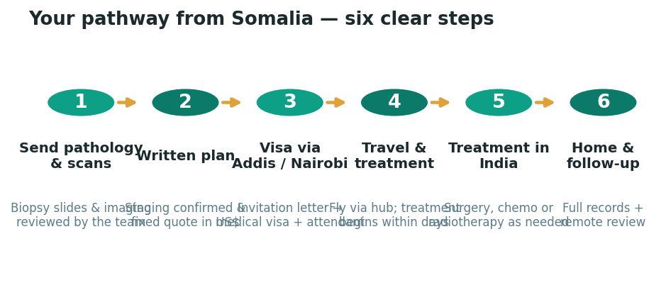 Chart: The practical journey from Somalia — plan it before you fly
