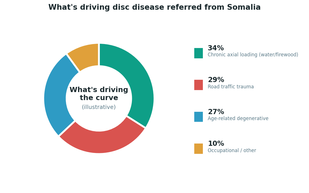 Chart: The Somali difference: two young-onset pathways, not one slow one