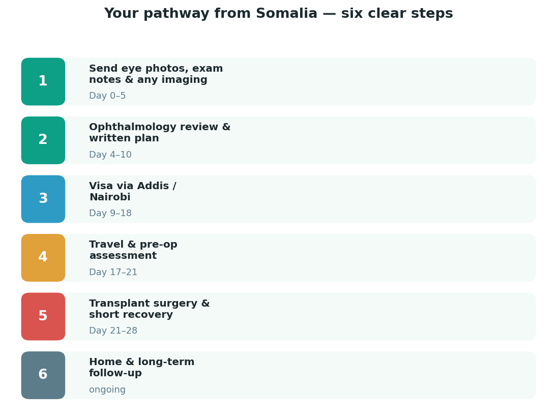 Chart: The practical journey from Somalia — plan it before you fly