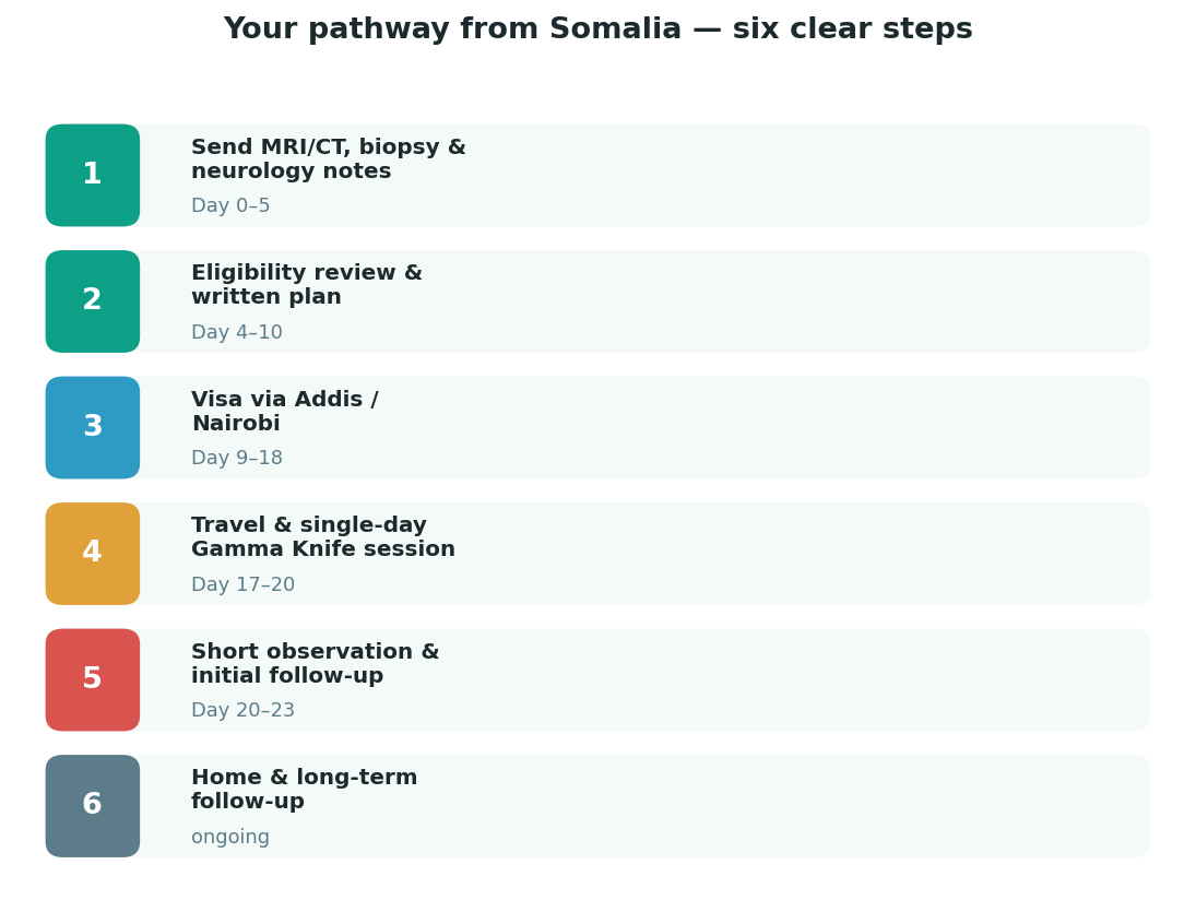 Chart: The practical journey from Somalia — plan it before you fly