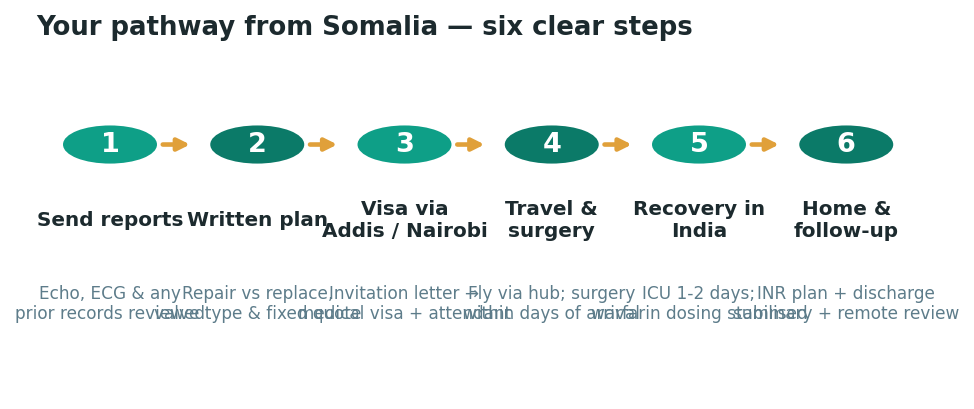 Chart: The practical journey from Somalia — plan it before you fly