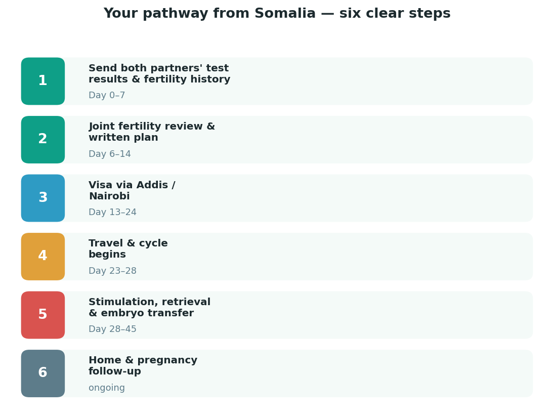 Chart: The practical journey from Somalia — plan it before you fly