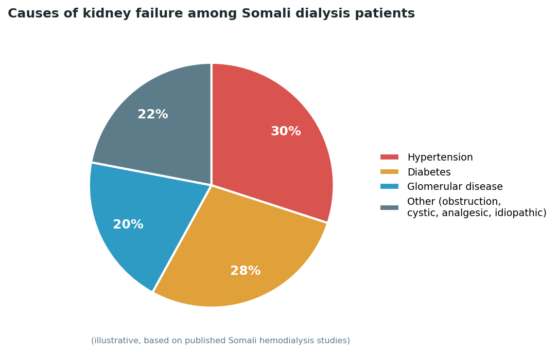 Chart: The Somali difference: dialysis itself is the fragile link, not just the wait for transplant