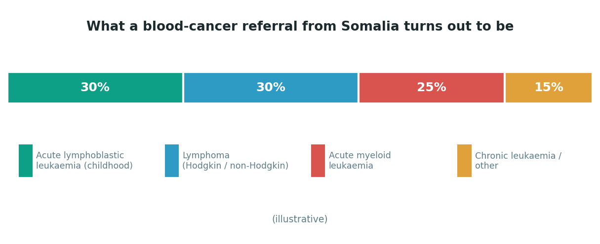 Chart: The Somali difference: even a confirmed diagnosis meets a treatment system without the basics