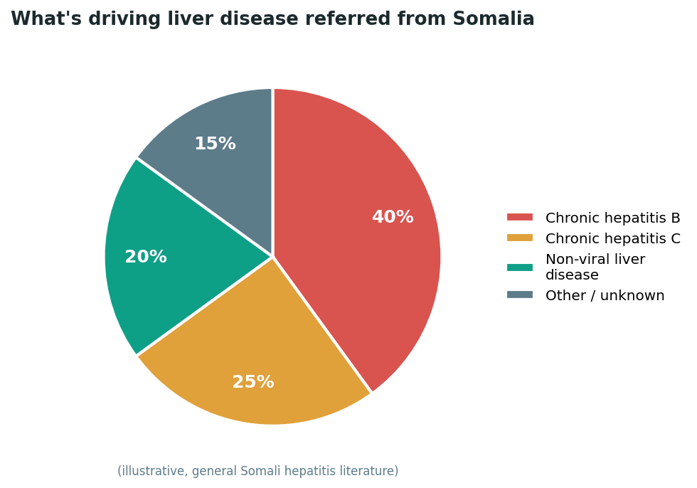 Chart: The Somali difference: a preventable infection, without the infrastructure to catch it early