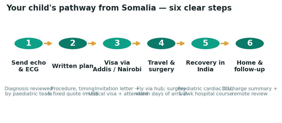 Chart: The practical journey from Somalia — plan it before you fly