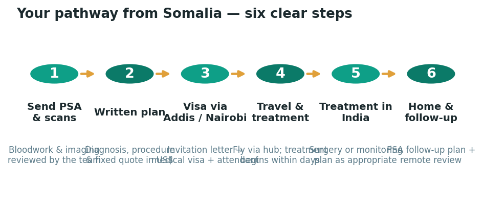 Chart: The practical journey from Somalia — plan it before you fly