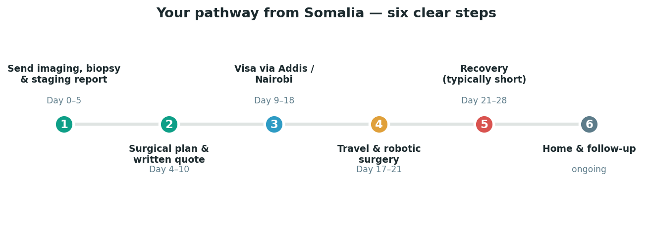 Chart: The practical journey from Somalia — plan it before you fly