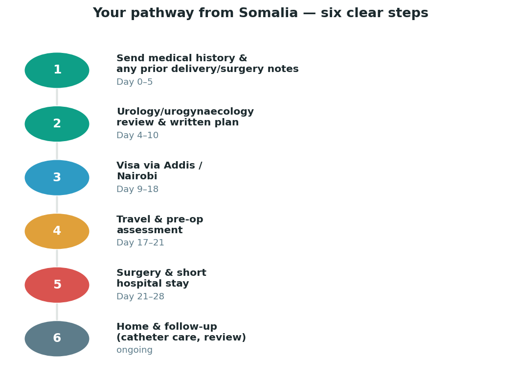 Chart: The practical journey from Somalia — plan it before you fly