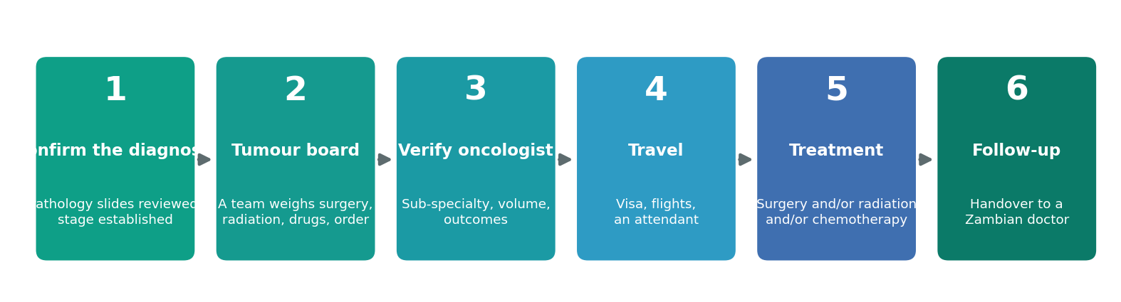 Chart: The practical journey from Zambia