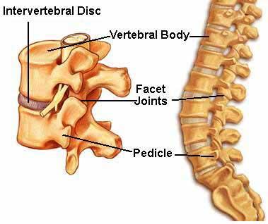 aging back pain,back pain treatment,back treatment India